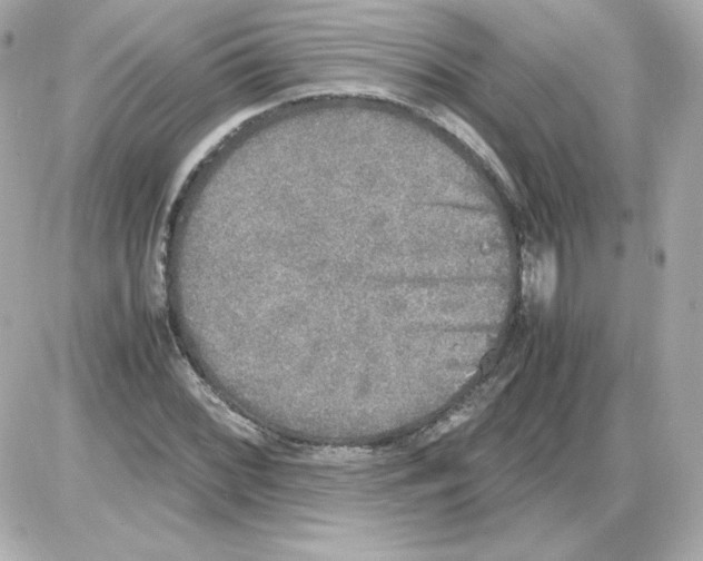 X0000085251068200704092043