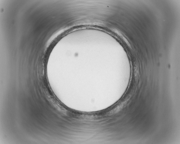 X0000085251069200704092043