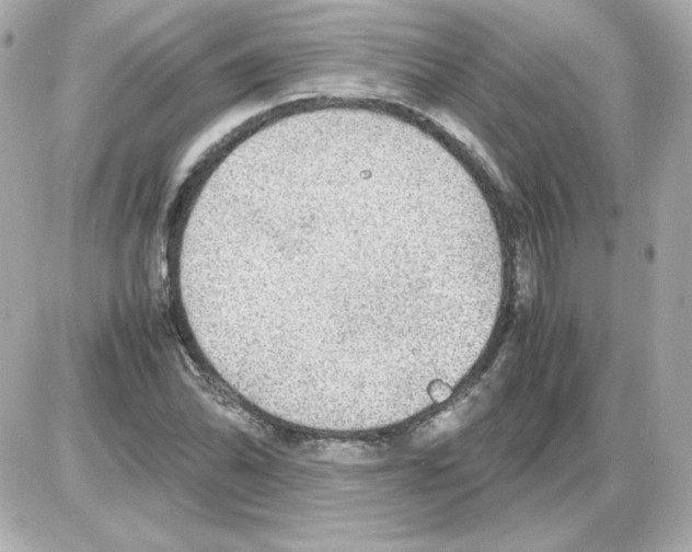 X0000085251070200704092043