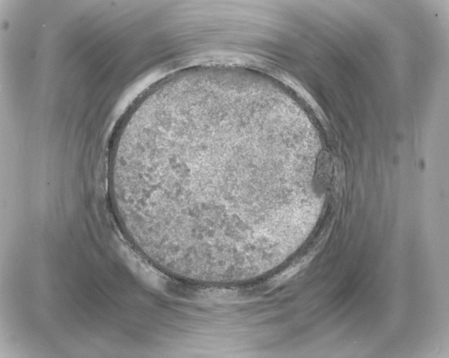 X0000085251075200704092043