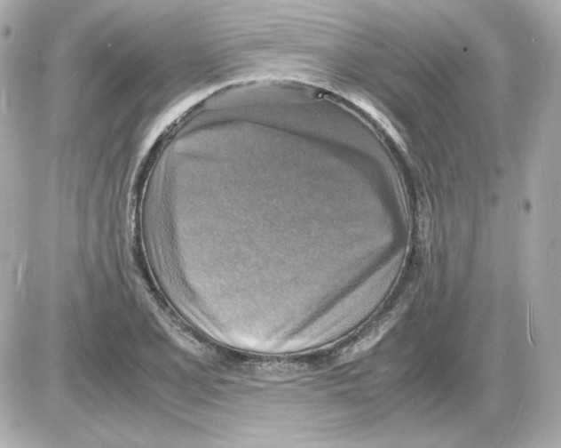 X0000085251077200704092043