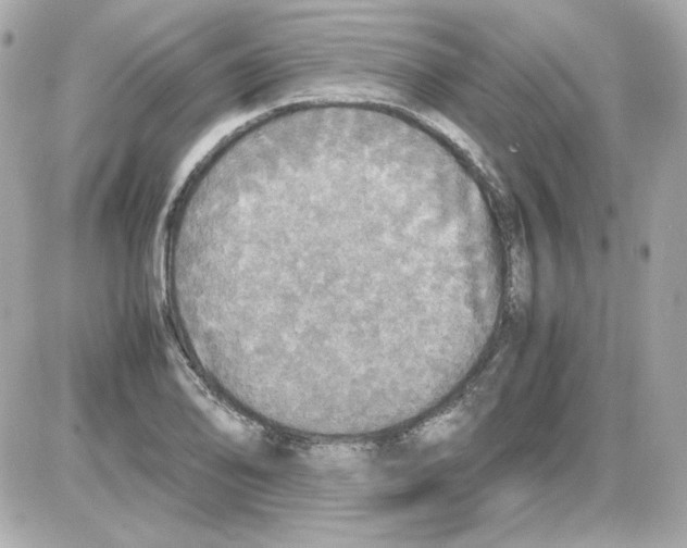 X0000085251078200704092043