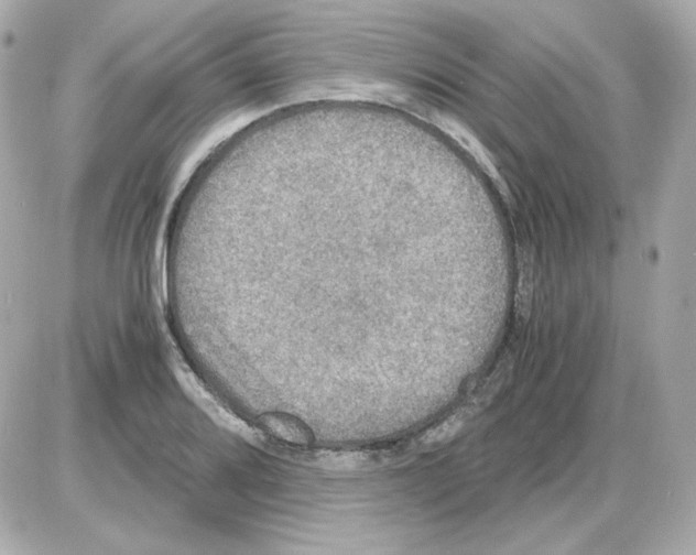 X0000085251080200704092043