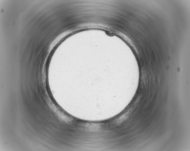 X0000085251082200704092043