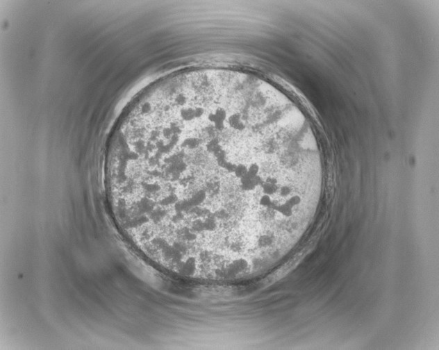 X0000085251083200704092043