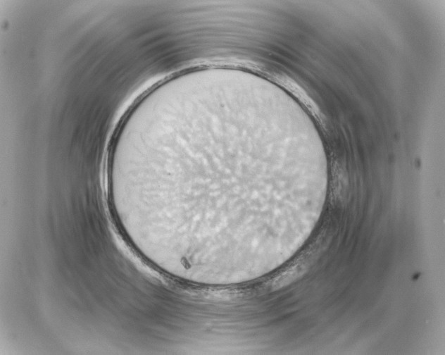 X0000085251084200704092043