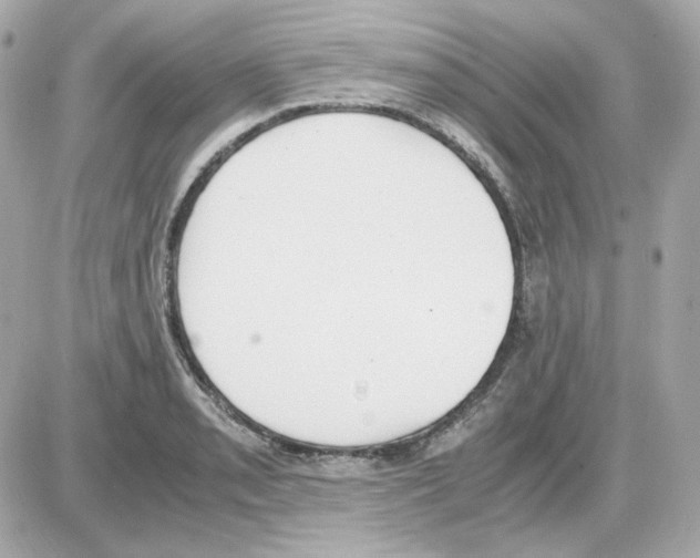 X0000085251085200704092043