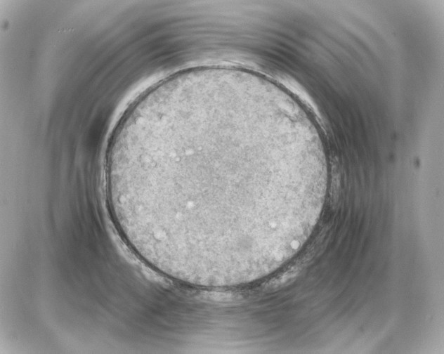 X0000085251088200704092043