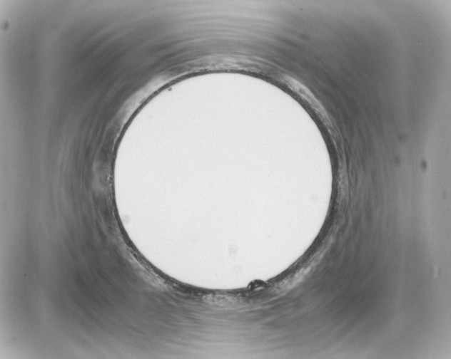 X0000085251089200704092043