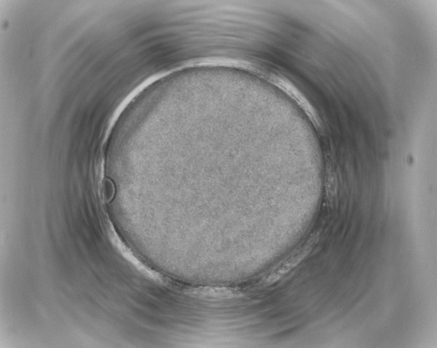 X0000085251092200704092042