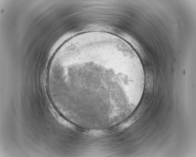 X0000085251094200704092042