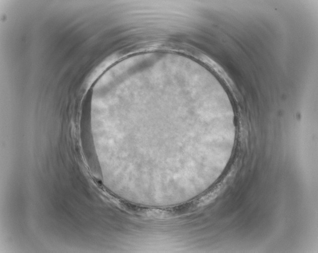 X0000085251097200704092042