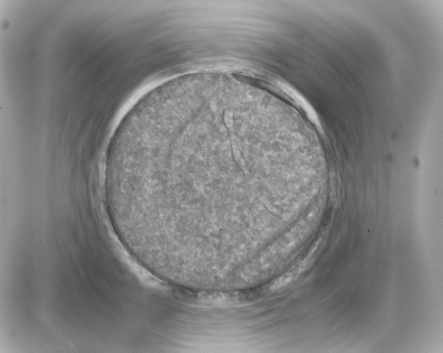 X0000085251099200704092042