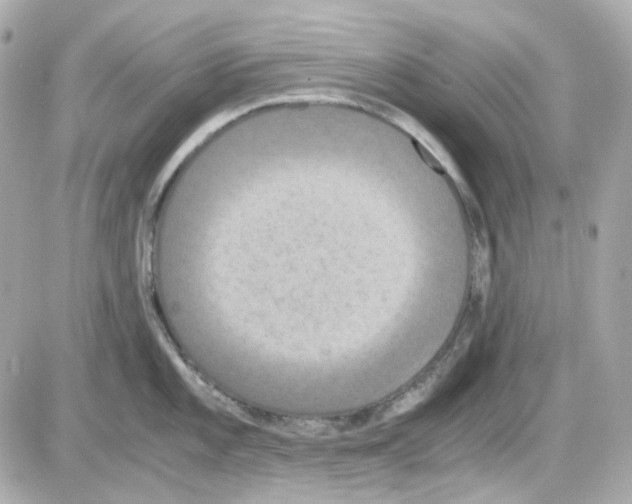 X0000085251101200704092042