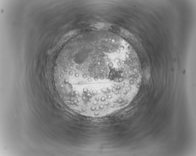 X0000085251105200704092041