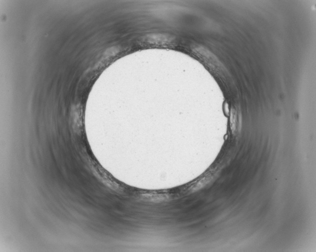 X0000085251107200704092042