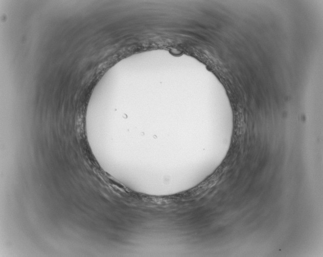 X0000085251109200704092042