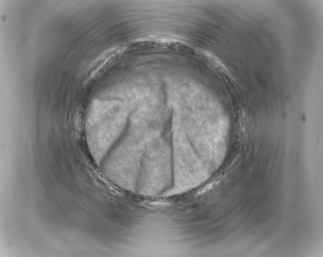 X0000085251110200704092042