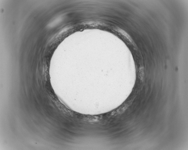 X0000085251111200704092042