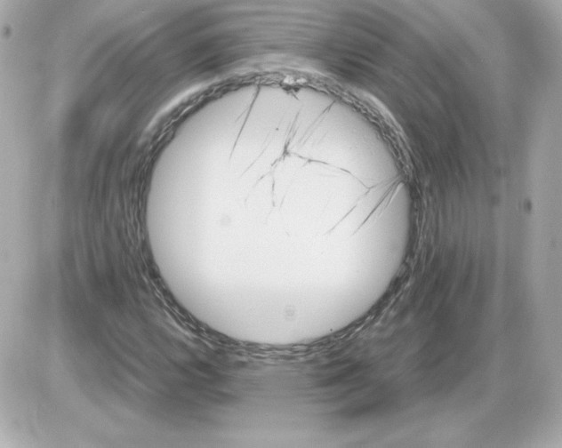 X0000085251112200704092042