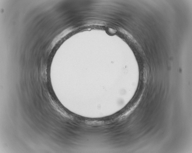 X0000085251113200704092042