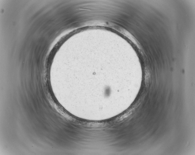 X0000085251116200704092042