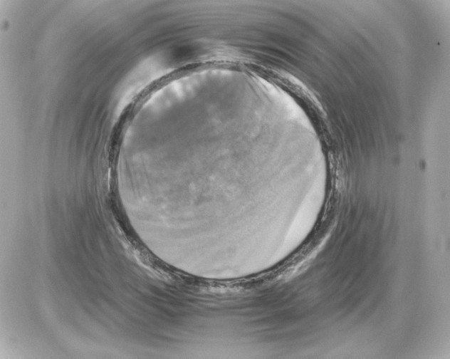 X0000085251117200704092042