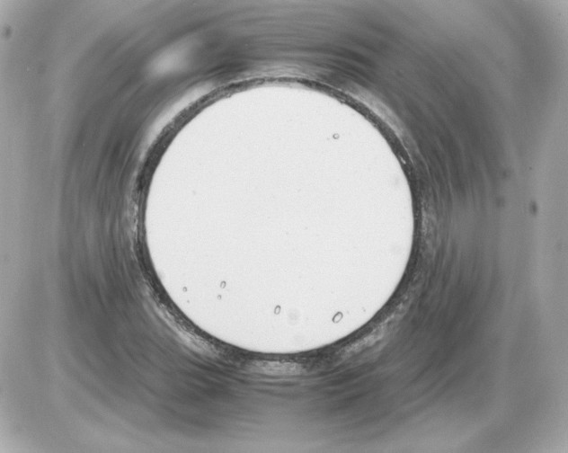 X0000085251119200704092042