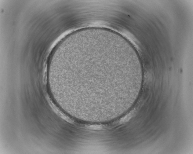 X0000085251126200704092042