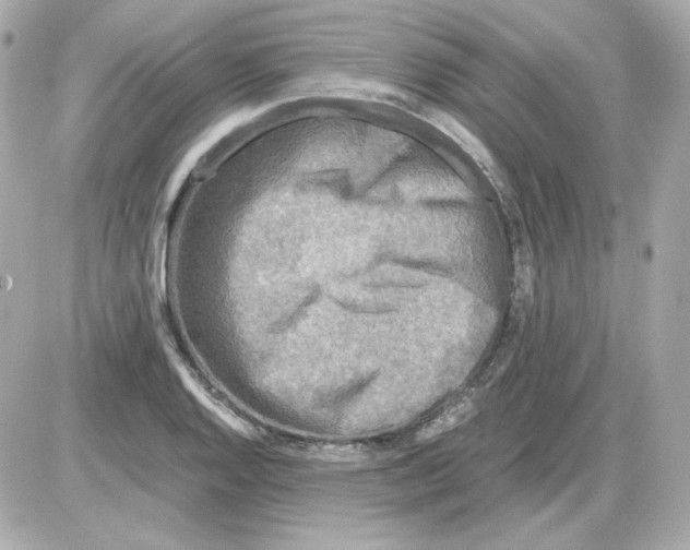 X0000085251128200704092042