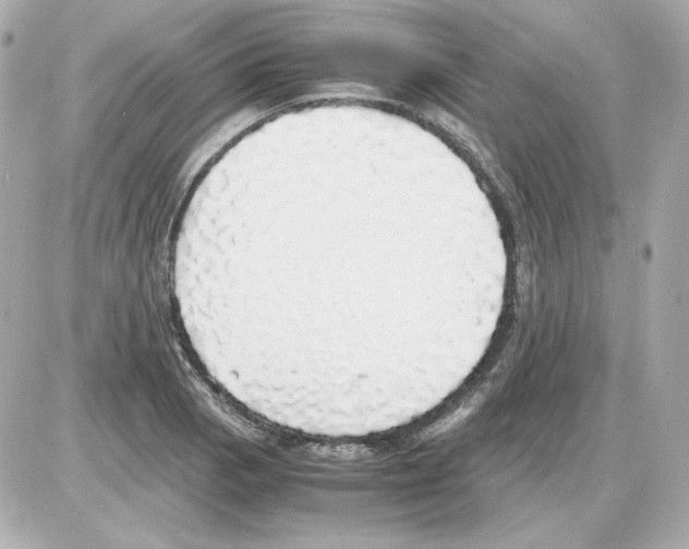 X0000085251129200704092042