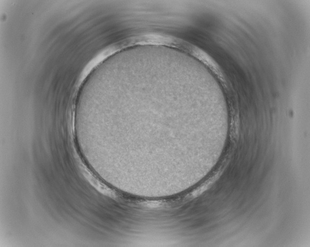 X0000085251130200704092042