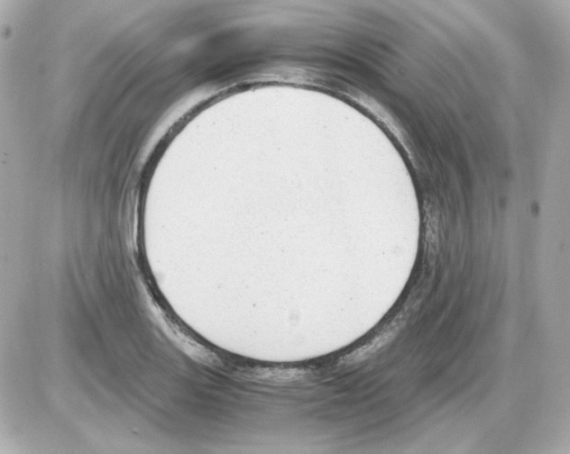 X0000085251131200704092042