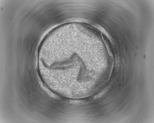 X0000085251132200704092042