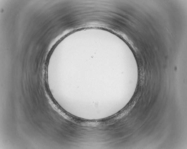 X0000085251134200704092042