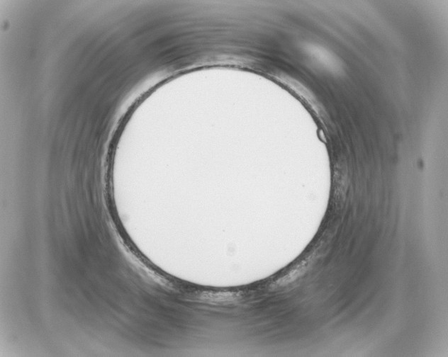 X0000085251135200704092042