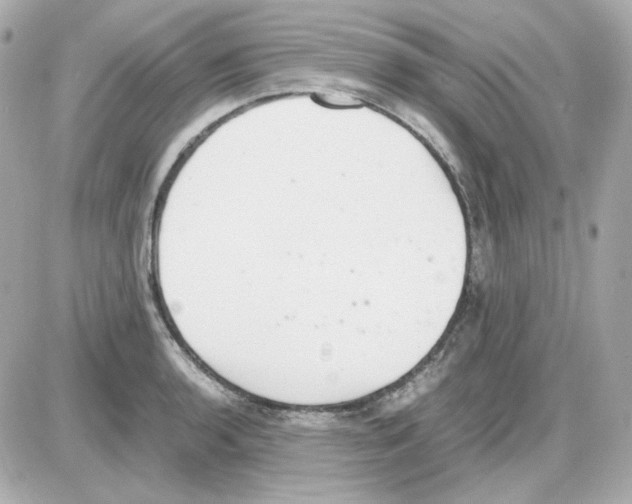 X0000085251136200704092042