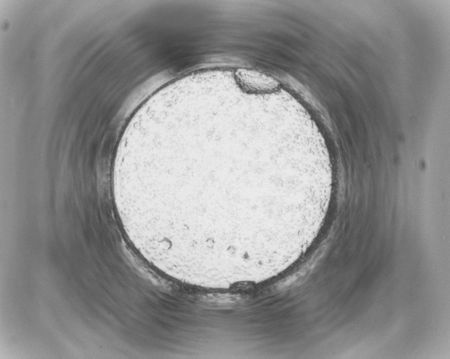 X0000085251137200704092042