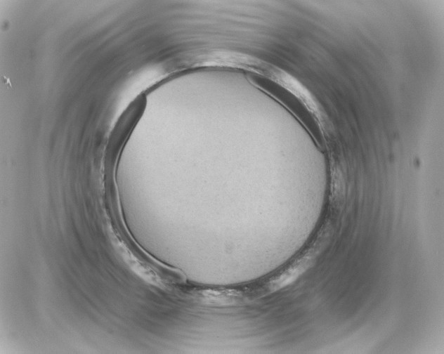 X0000085251138200704092042