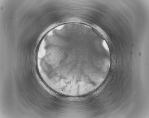 X0000085251142200704092042