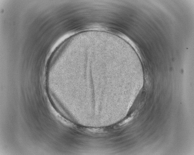 X0000085251147200704092042