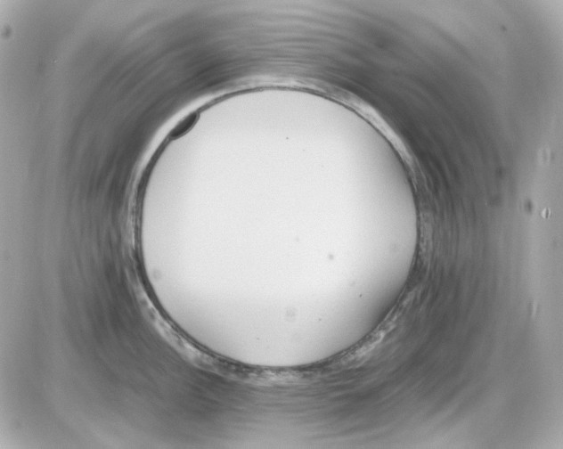 X0000085251148200704092042