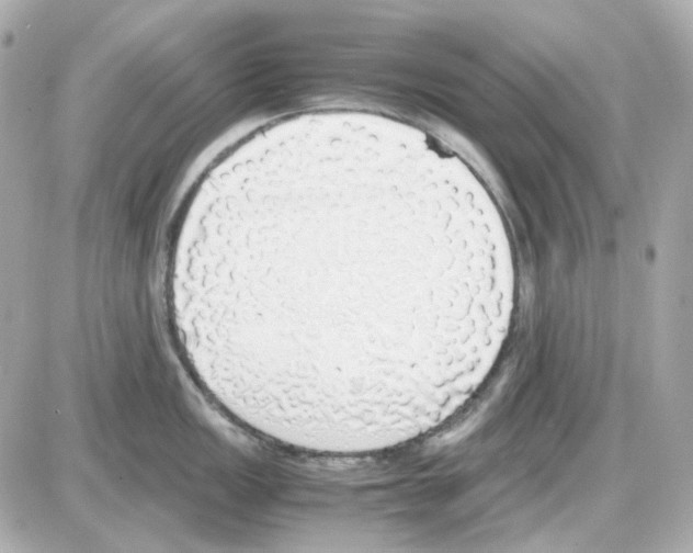 X0000085251149200704092042