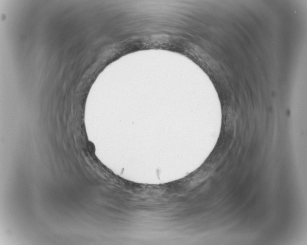 X0000085251153200704092041