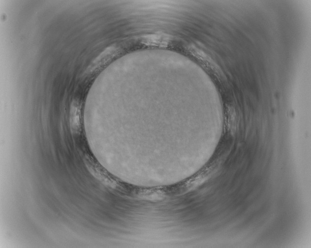 X0000085251154200704092041