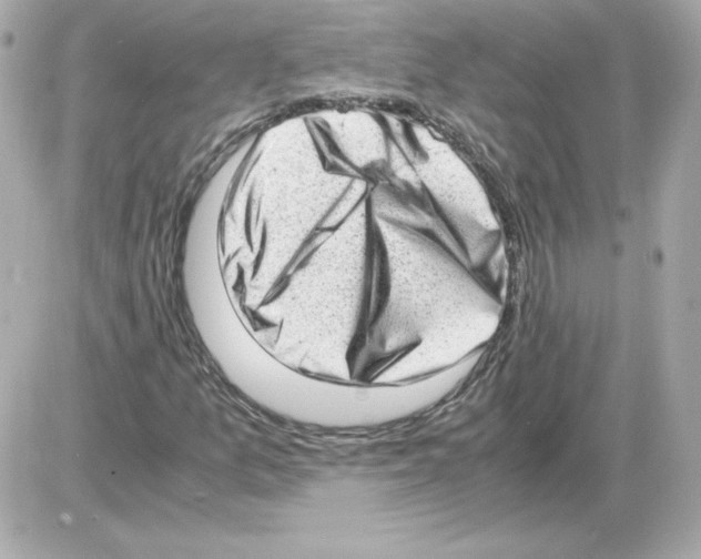 X0000085251157200704092041