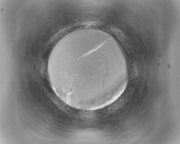 X0000085251158200704092041