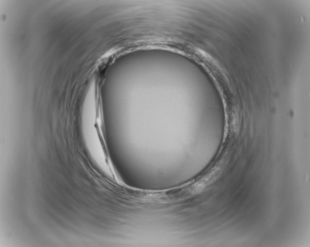 X0000085251161200704092041