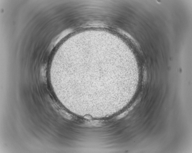 X0000085251162200704092041