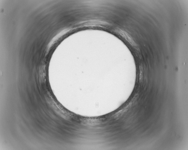 X0000085251164200704092041